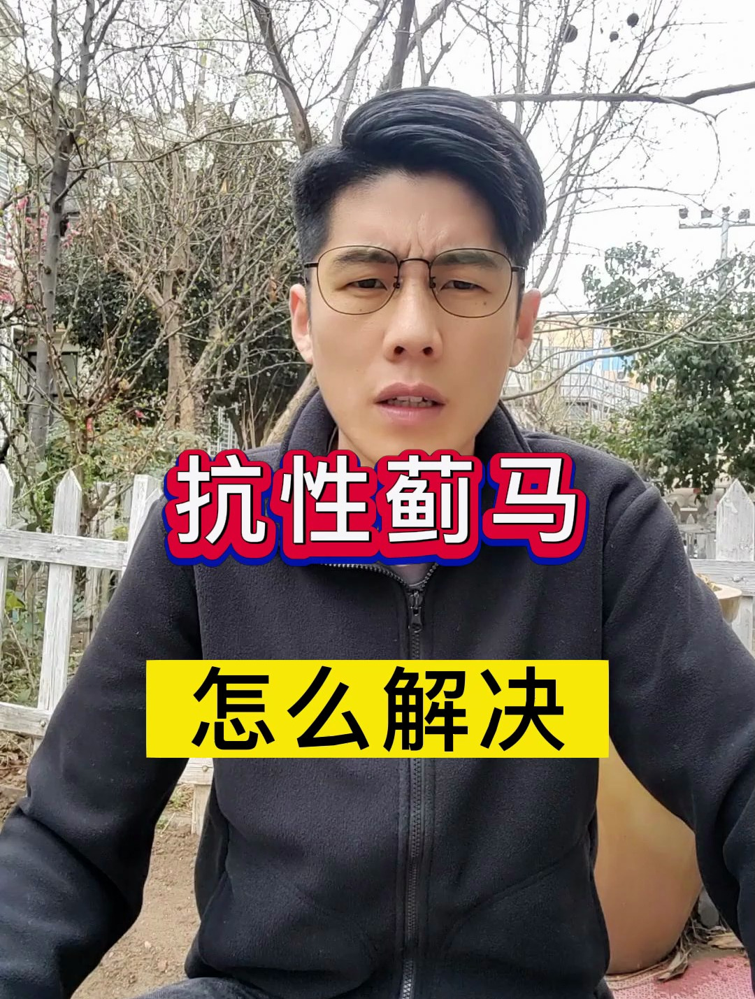 蓟马虫害打不住怎么办?打蓟马用什么药最有效?蓟马小虫防治方法