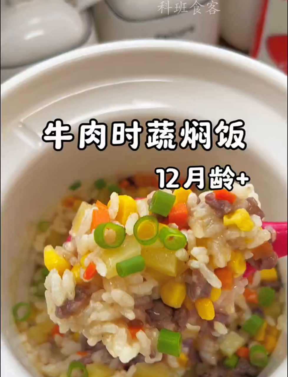 宝妈省心神器!营养满分的牛肉蔬菜饭,宝宝超爱,一放炖盅就搞定!