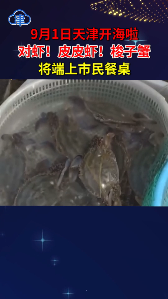 9月1日天津开海啦!对虾、皮皮虾、梭子蟹等将端上市民餐桌。快转给爱吃海鲜的TA吧!9月1日