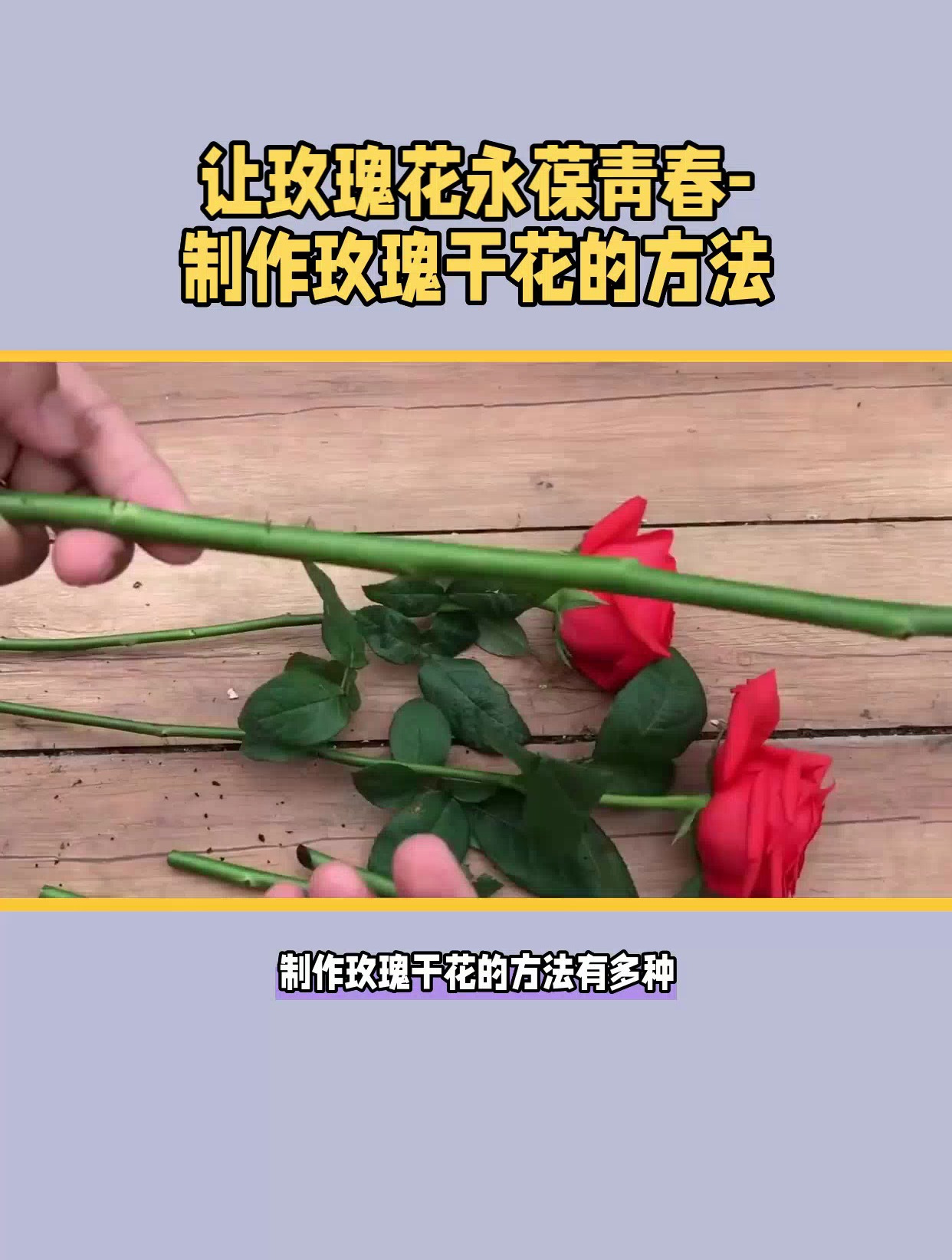 玫瑰干花怎么做好看的手工?