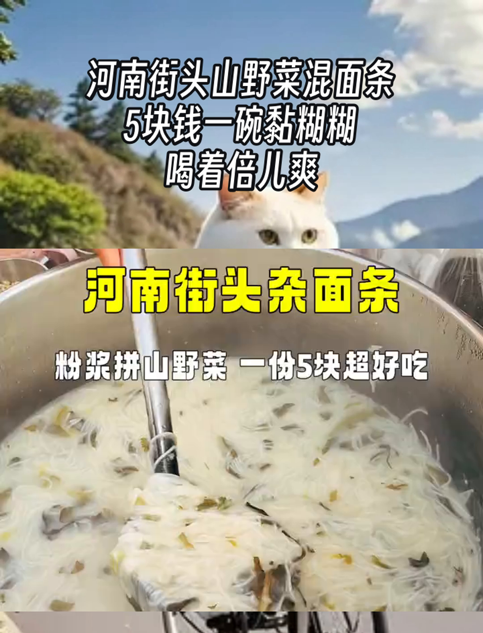 河南街头山野菜混面条,5块钱一碗黏糊糊,喝着倍儿爽