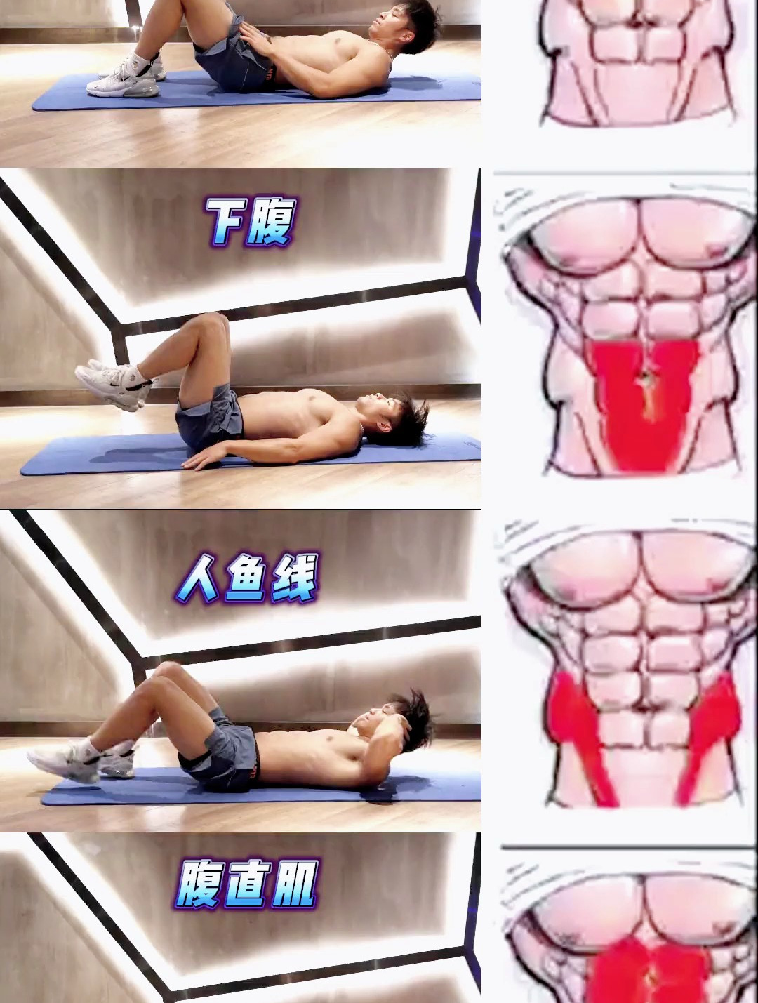 四个动作减掉大肚腩练出腹肌人鱼线 居家锻炼 好身材练起来