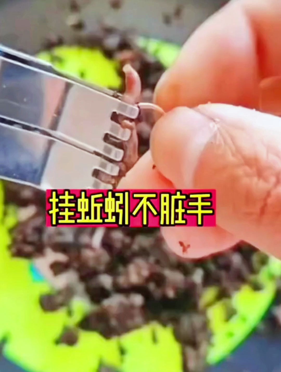 钓鱼挂蚯蚓哪有那么费劲?学会这一招,挂得快还不脏手