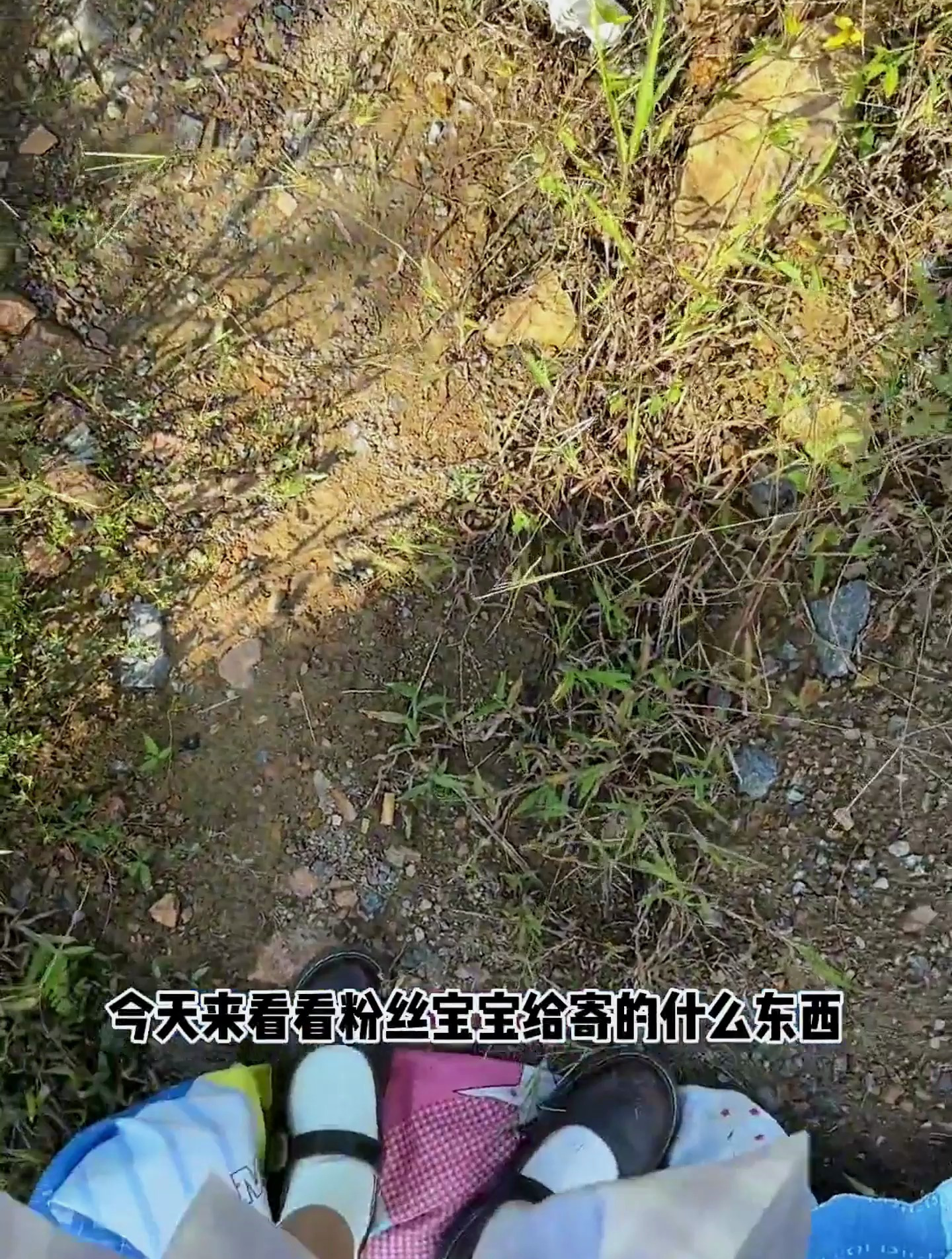 野外收到粉丝寄来的快递。今日新吃法,手撕面包火鸡面 美食