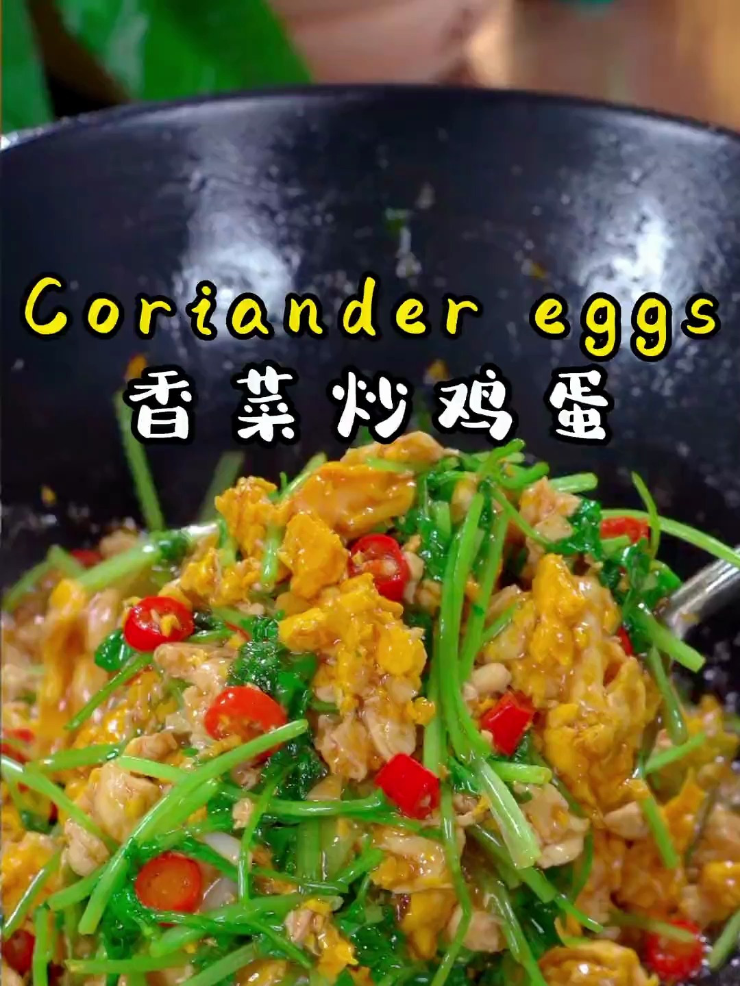 这样做的 香菜炒鸡蛋 好吃到流泪