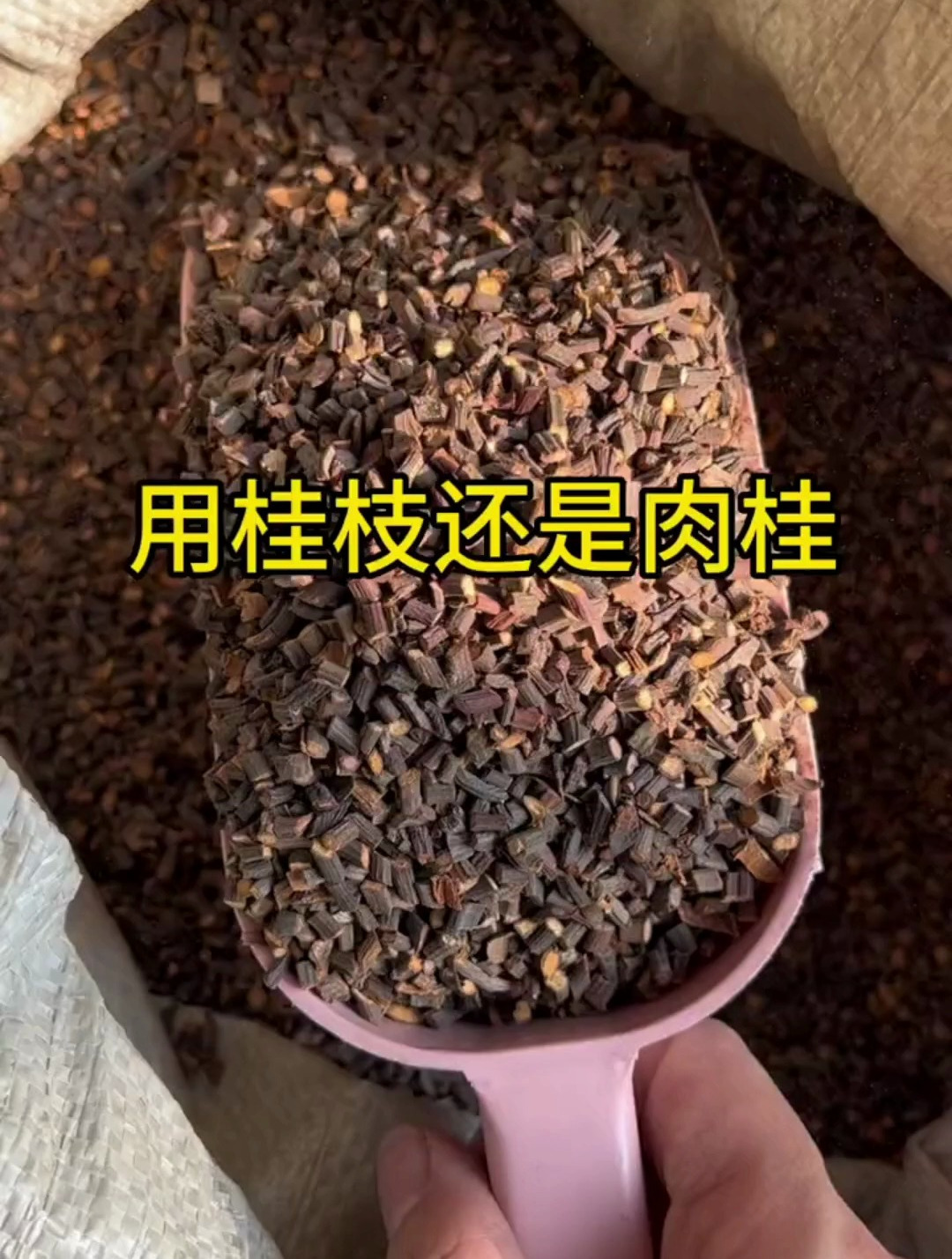 桂枝和肉桂分不清,今天教你怎么区分