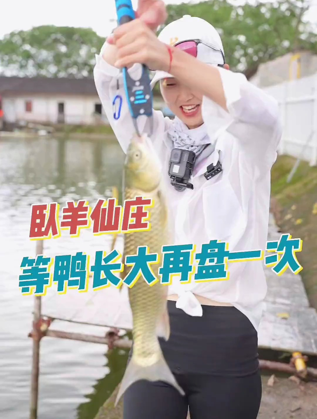 翘嘴好吃还是鸭子好吃?
