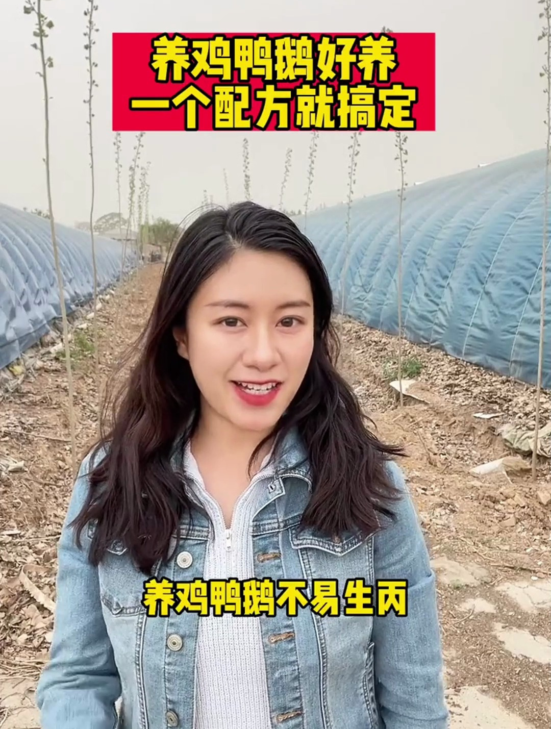 养鸡鸭鹅好养,一个配方就搞定