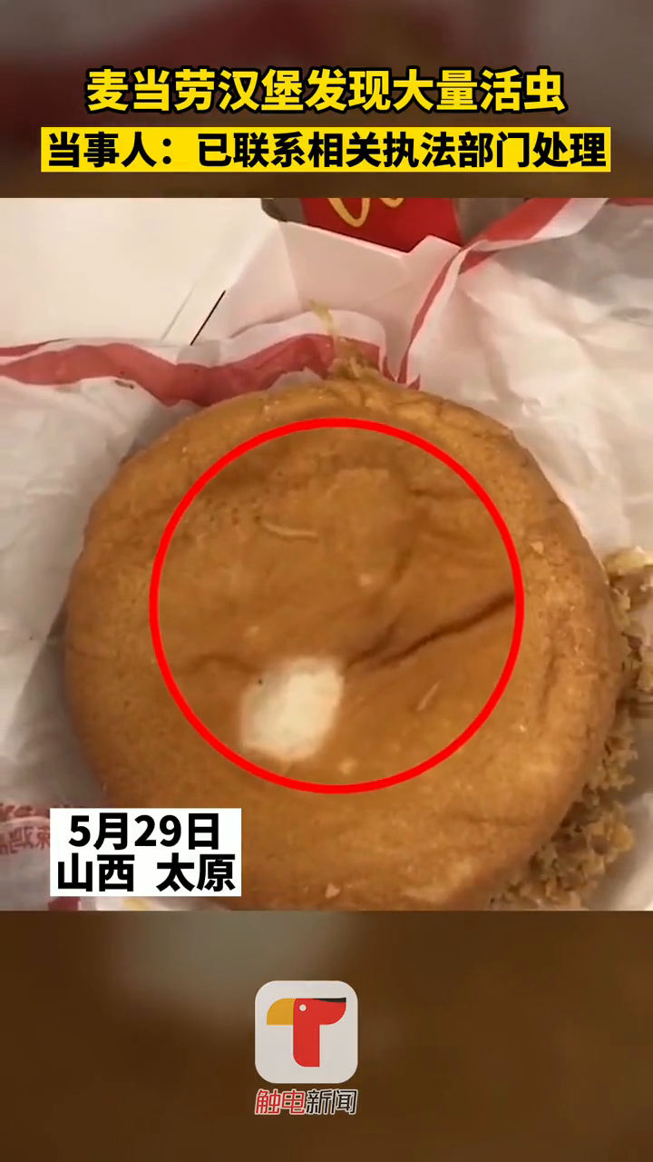 女子吃麦当劳汉堡发现大量活虫