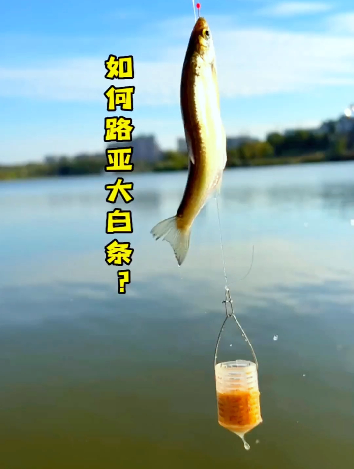 白条终结者——七星钩