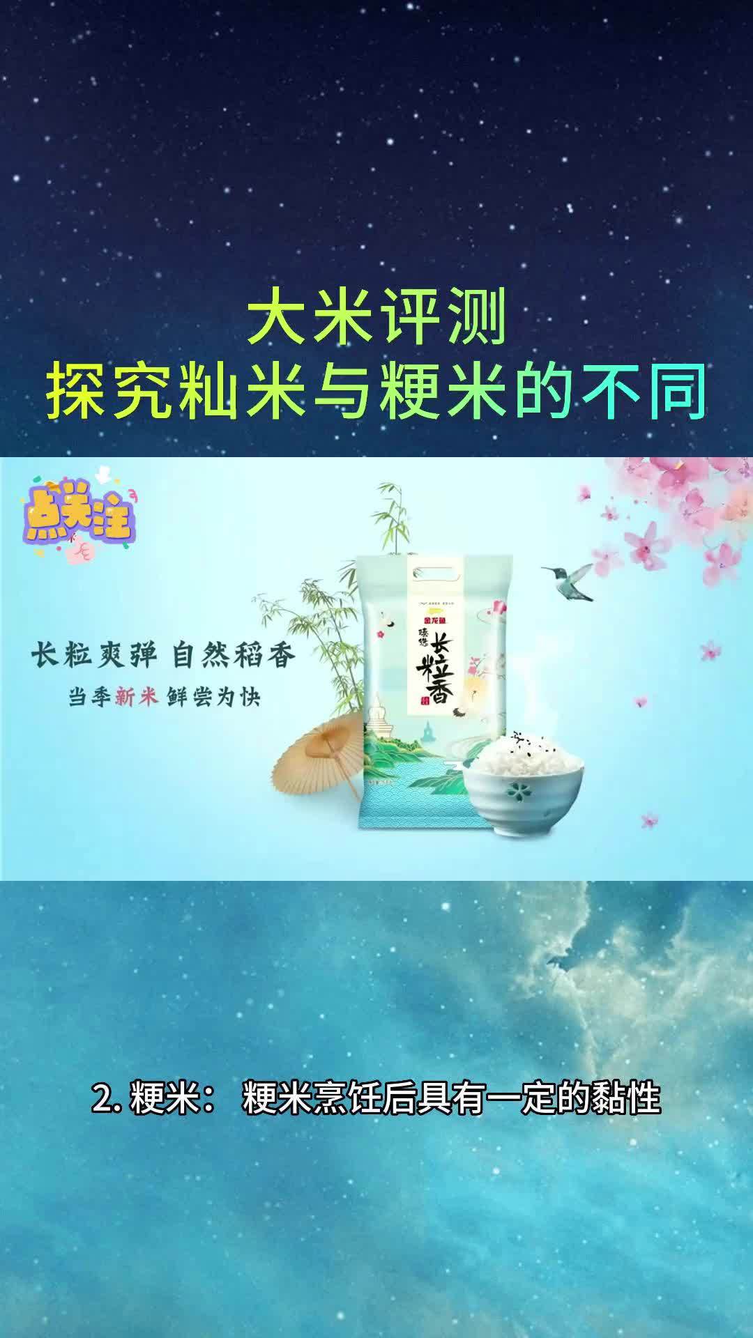大米评测:探究籼米与粳米的不同
