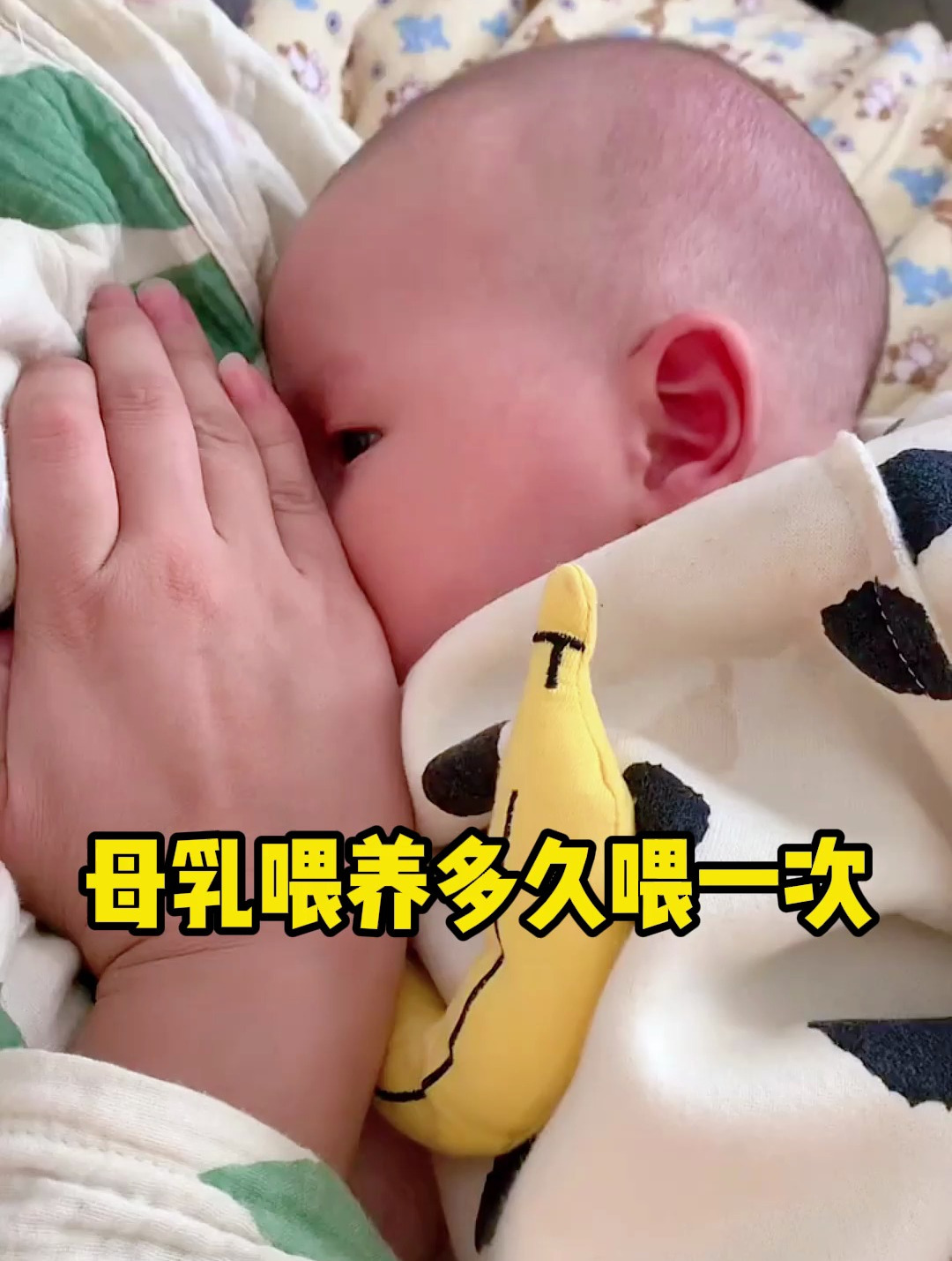母乳喂养多久喂一次