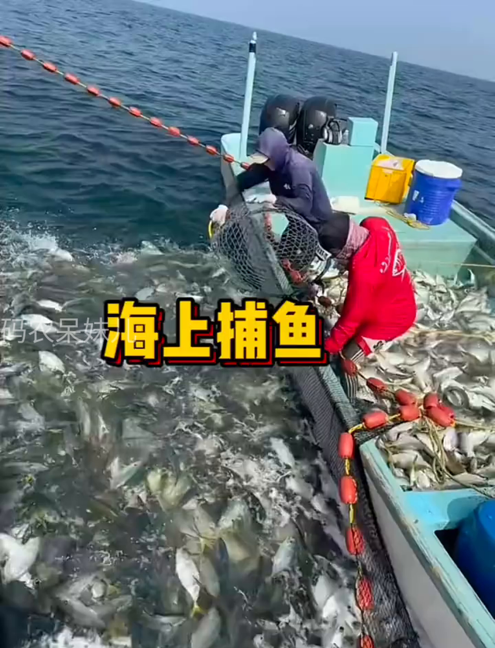 出海捞鱼,捕鱼达人的海上冒险记