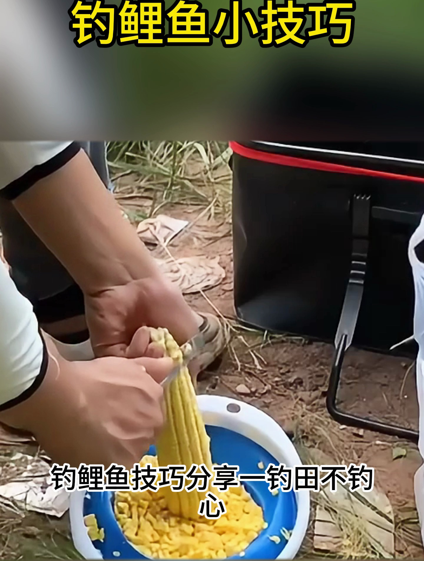 要想鲤鱼钓的好,口诀一定要记牢!都是实用干货!