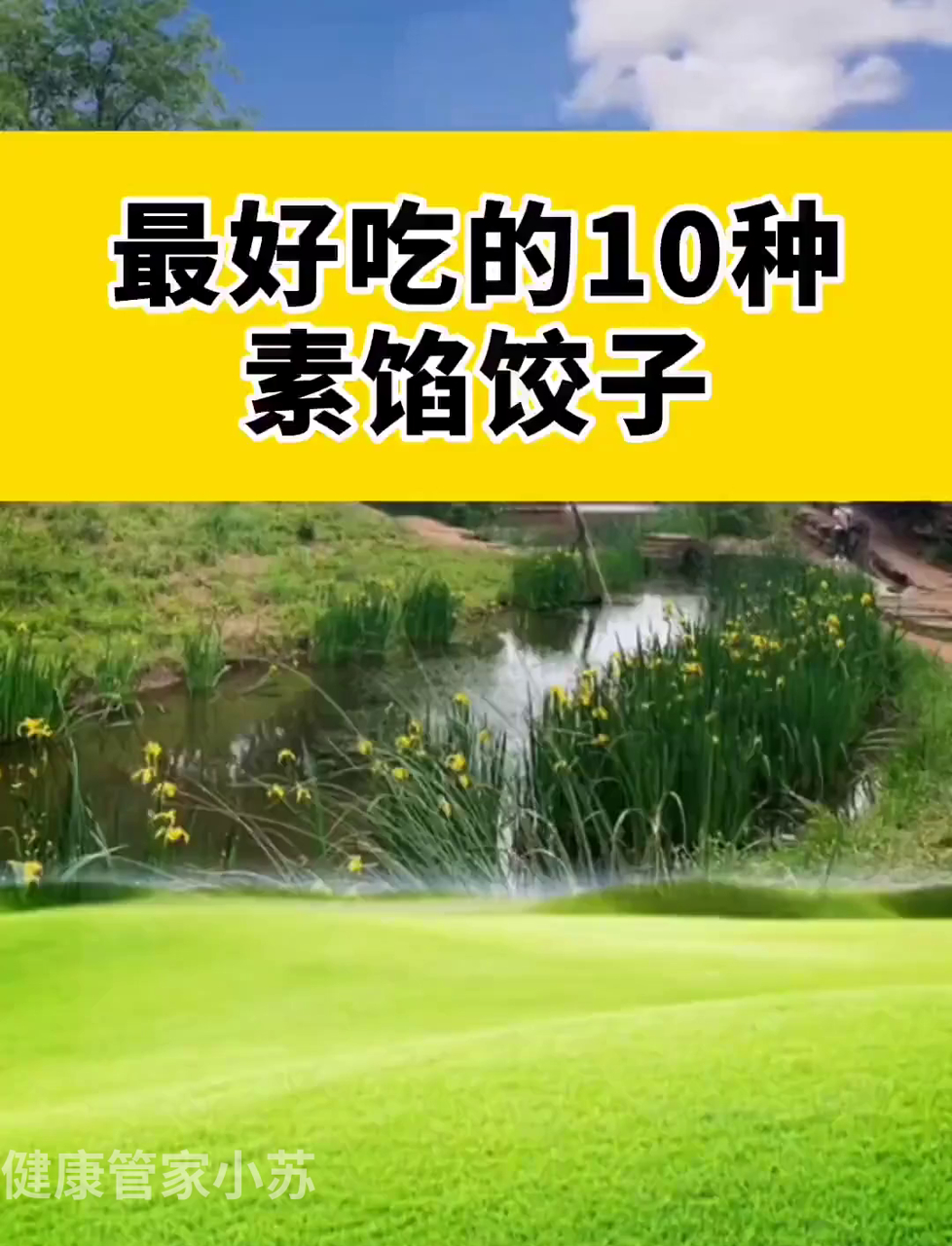 超赞的十款素馅饺子,美味又健康!