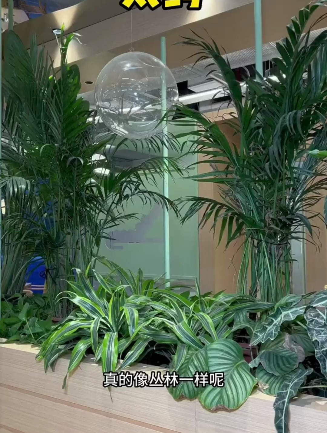 不出国门,吃泰式美味,快来太鳄泰食餐厅