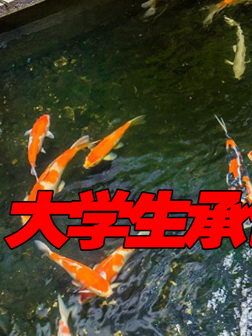江西美女贷款100万,承包鱼塘养翘嘴遭家人反对,结局亮了!