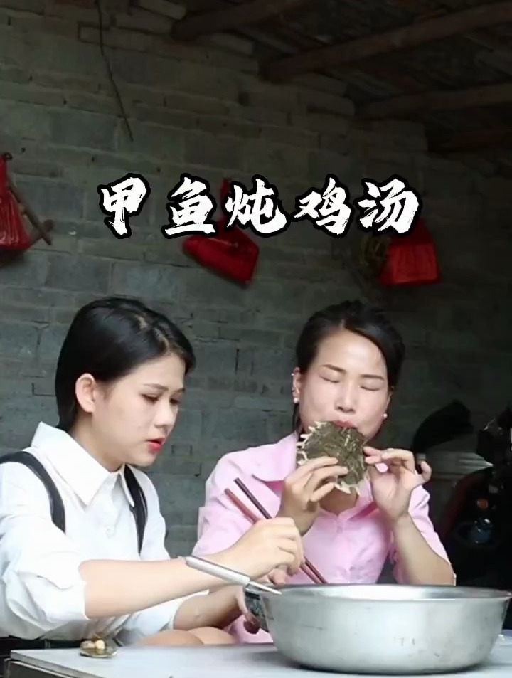 记录我的农村生活,甲鱼炖鸡汤