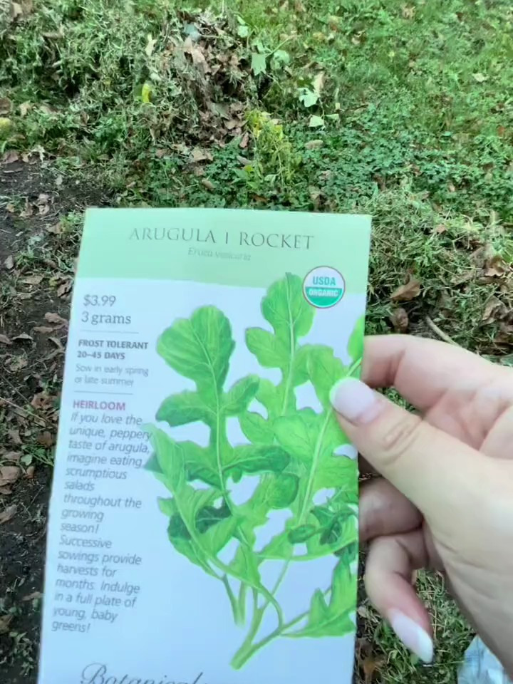 第一次种芝麻菜,很惊喜的,下一个视频看我收割了多少芝麻菜