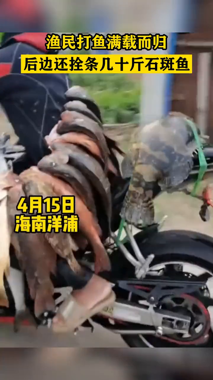 渔民打鱼满载而归!后边还拴条几十斤石斑鱼