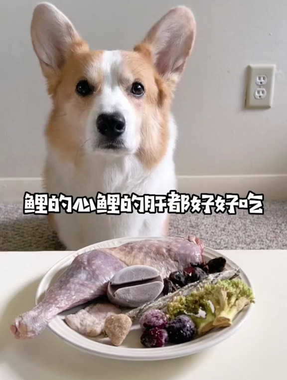 鲤的心鲤的肝都好好吃