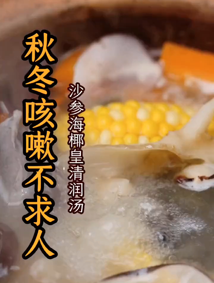 秋冬版的沙参海椰汤来啦,老少皆宜,清润一秋!