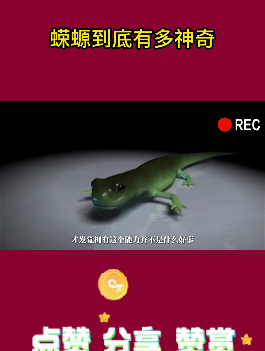蝾螈到底有多神奇