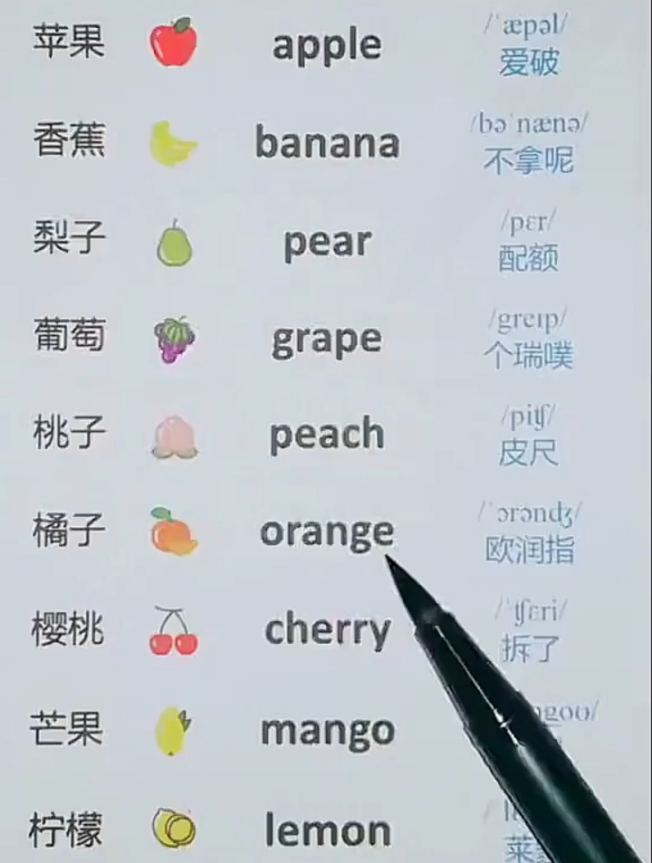 英语知识:不同水果的英语单词,来看看吧