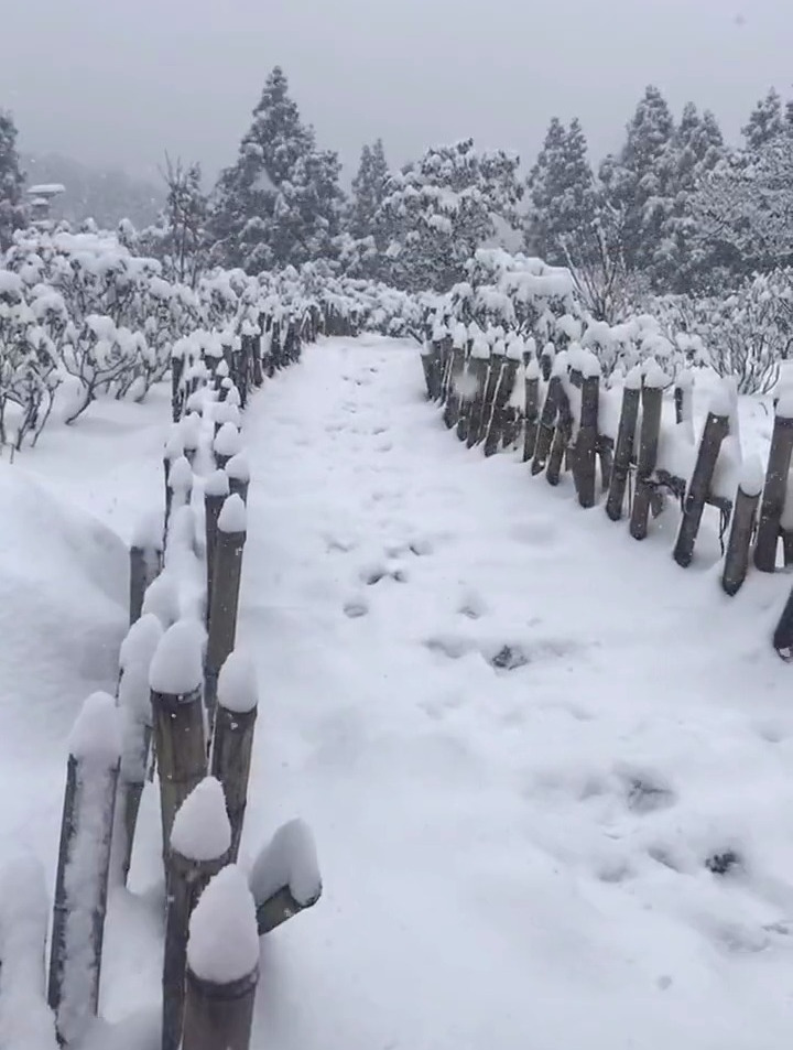 围炉煮雪,三两趣味,在清谈之间,喝茶赏雪,足矣足矣