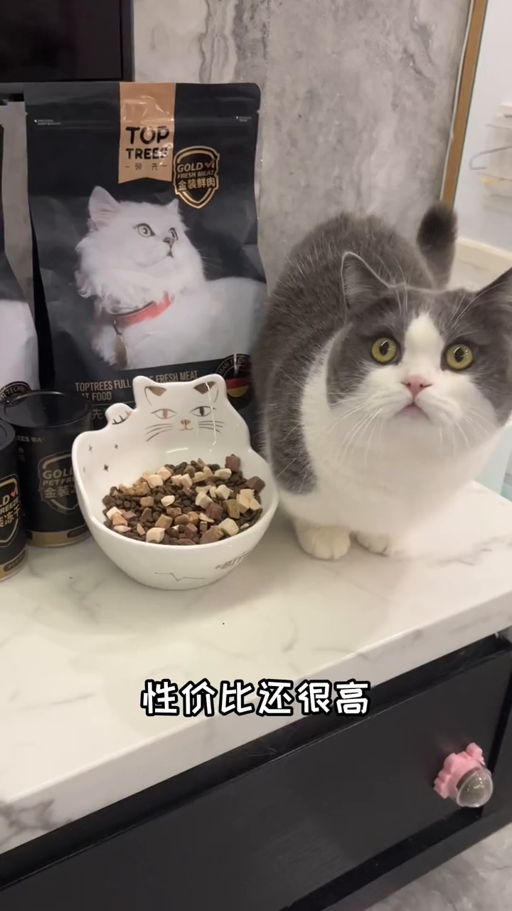 只要选对猪饲料,它们就是干饭最积极的小猪咪!