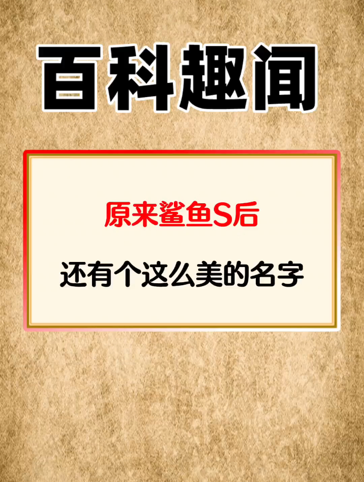 原来鲨鱼死后还有个美丽的名字