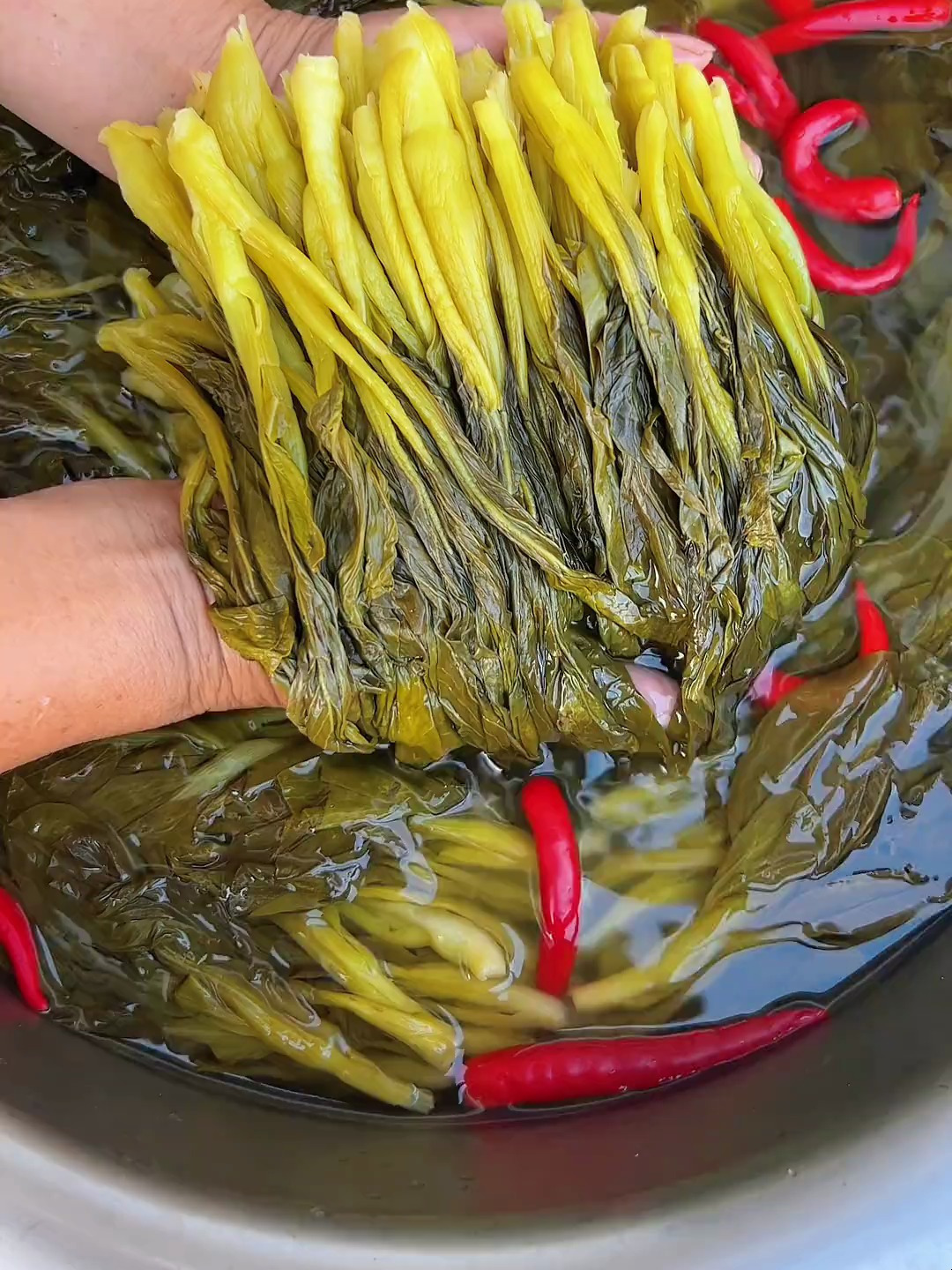 地里的青菜吃不完别再扔了,拿来腌酸菜吃,酸辣下饭好吃又简单～