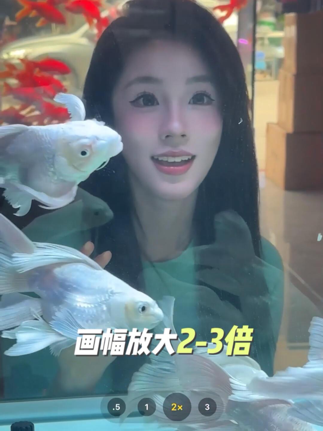 求你去拍0成本金鱼氛围照!带个手机就行!