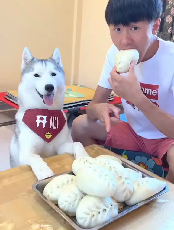 听到狗肉馅包子的反应