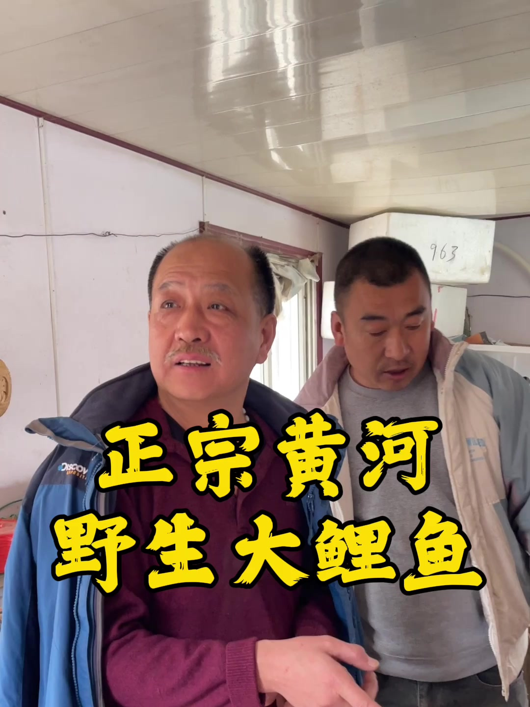 正宗野生黄河大鲤鱼,这价格值不值