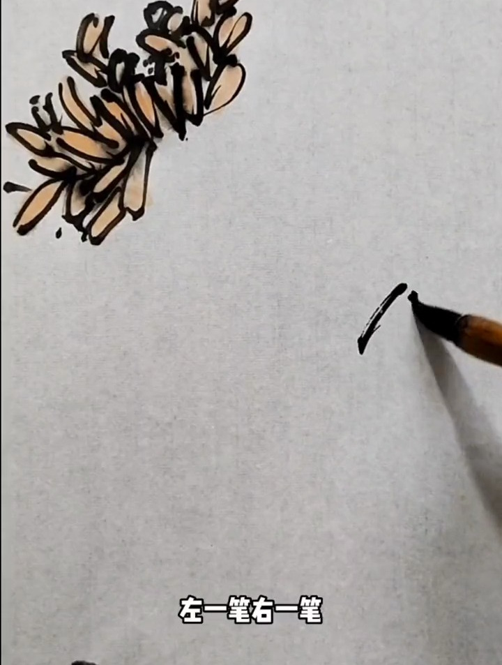 菊花的画法,初学者如何学画荷花