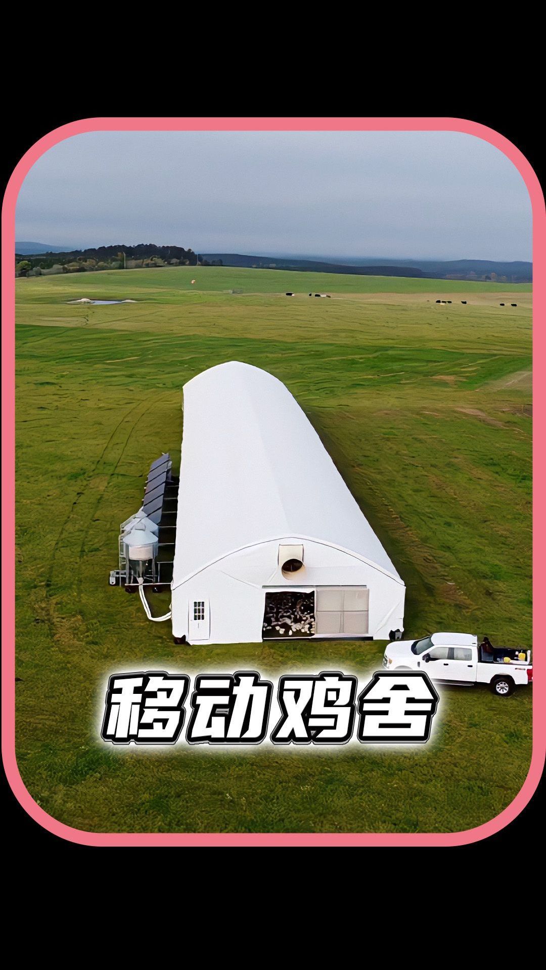 移动鸡舍养殖的鸡有啥优点?