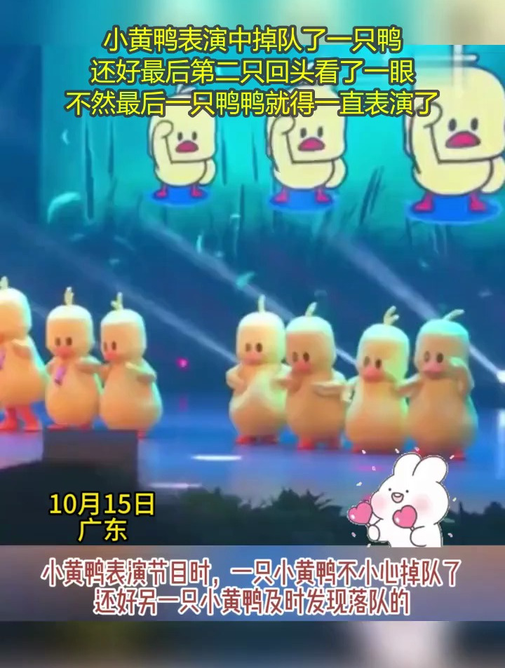 小黄鸭表演中掉队了一只鸭 还好最后第二只回头看了一眼 不然最后一只鸭鸭就得一直表演了