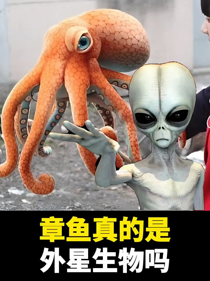 你知道章鱼为什么被认为是外星人吗?