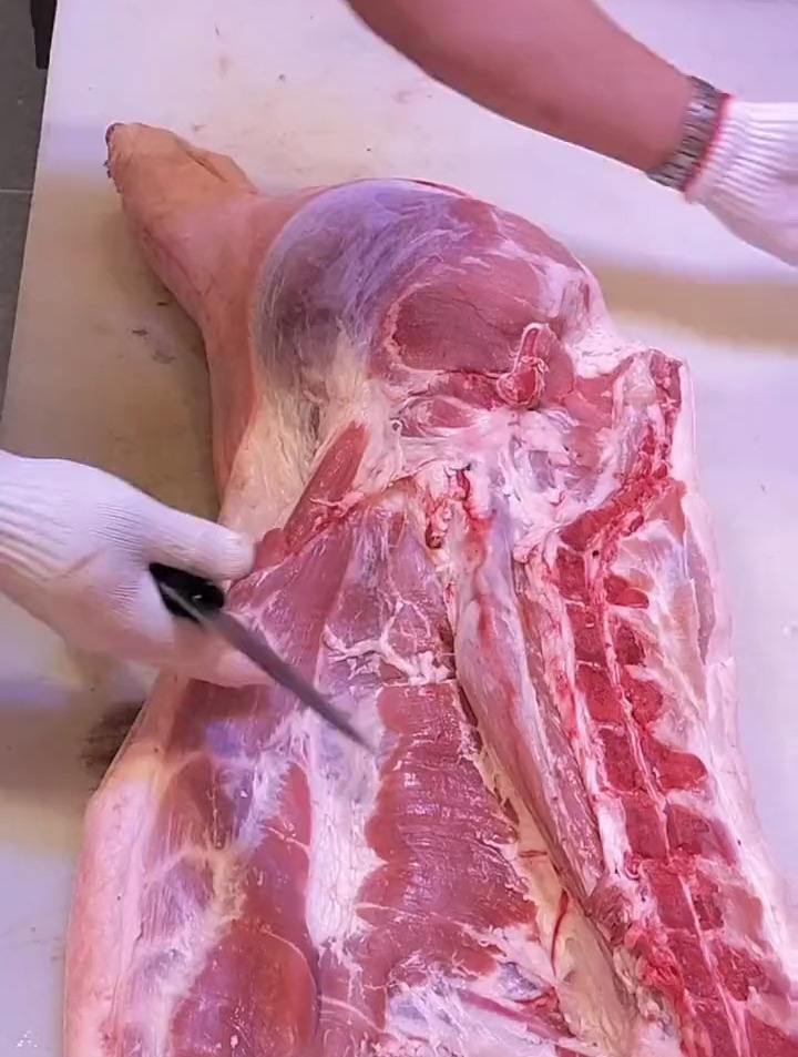 看着舒服又解压。猪肉分割技巧 解压视频 解压