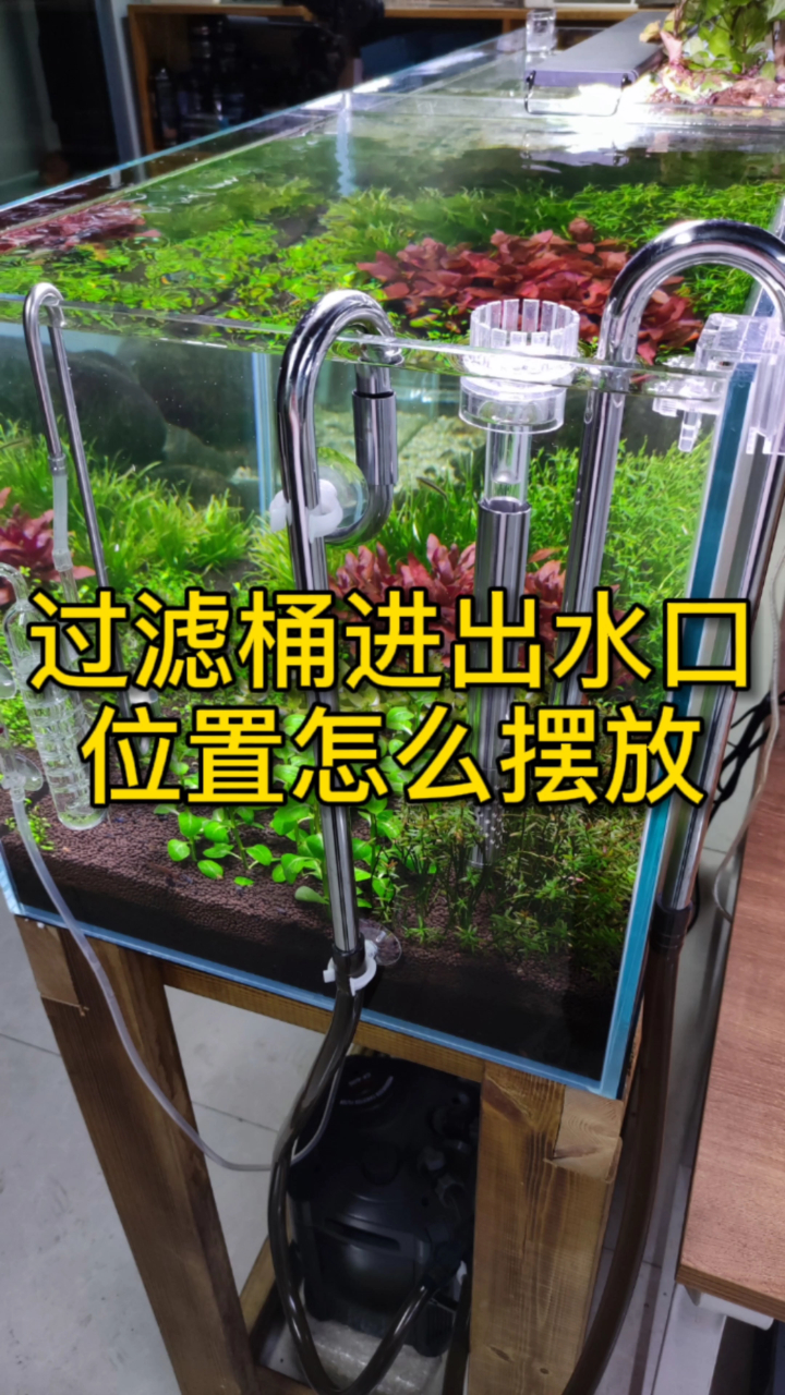 水草缸过滤桶的进出水口,怎么摆放才最合理?看看你摆对了没
