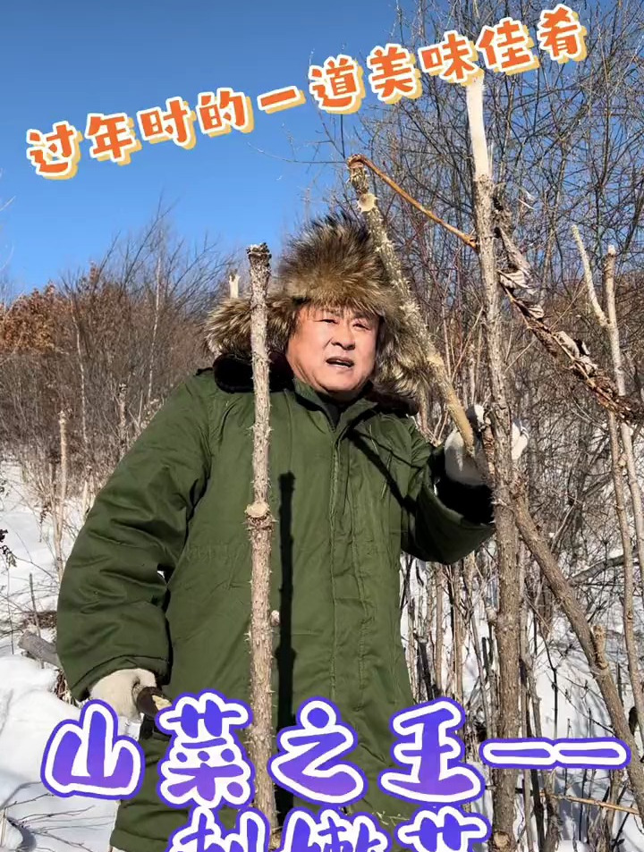 刺嫩芽山菜籽王大自然的馈赠，感受大自然的气息和美景