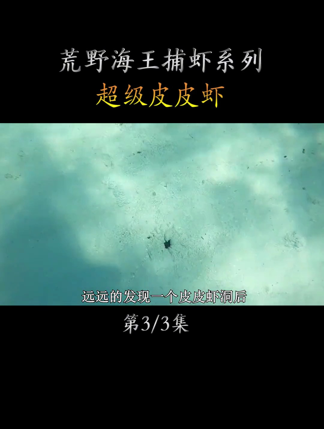 20厘米长的皮皮虾有多猛?看老渔民用竹竿抓虾!