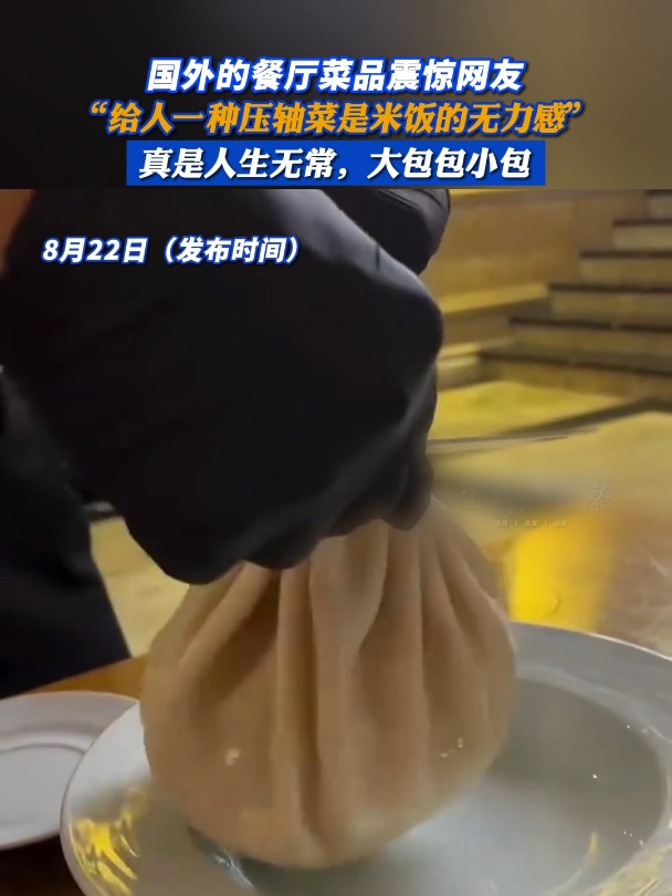 国外的餐厅菜品震惊网友,“给人一种压轴菜是米饭的无力感”