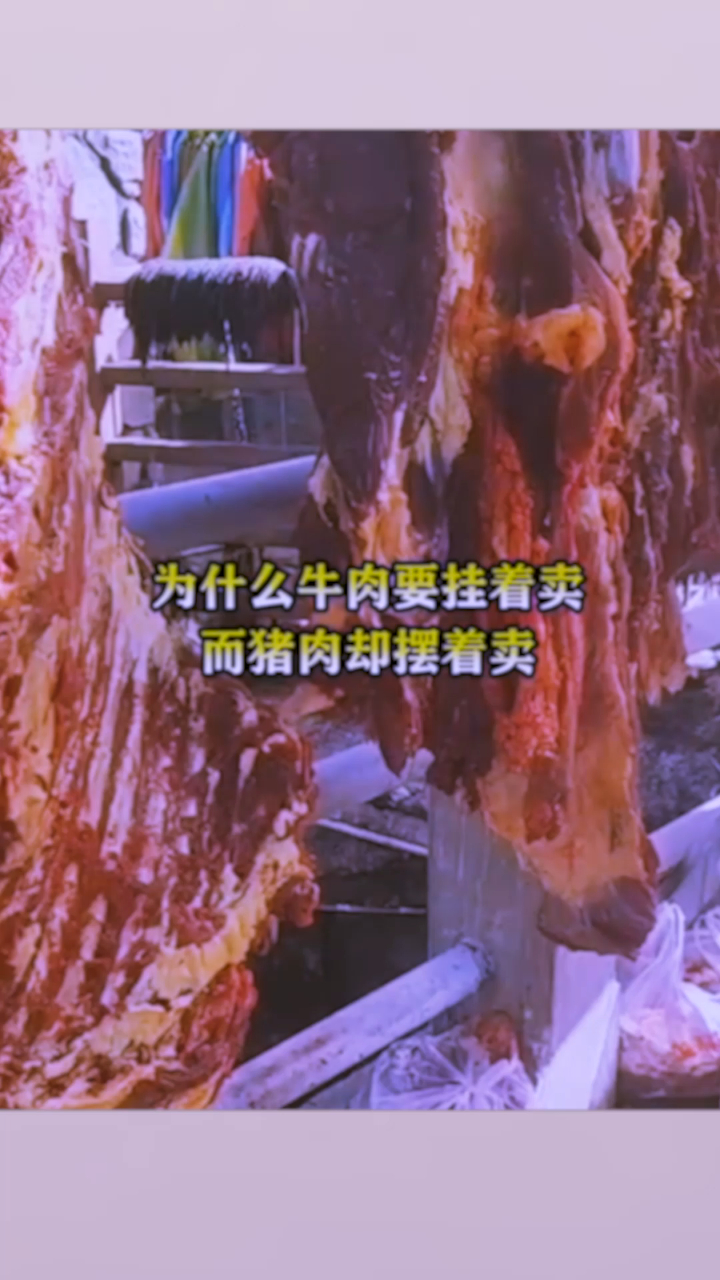 为什么牛肉要挂着卖,而猪肉却摆着卖!