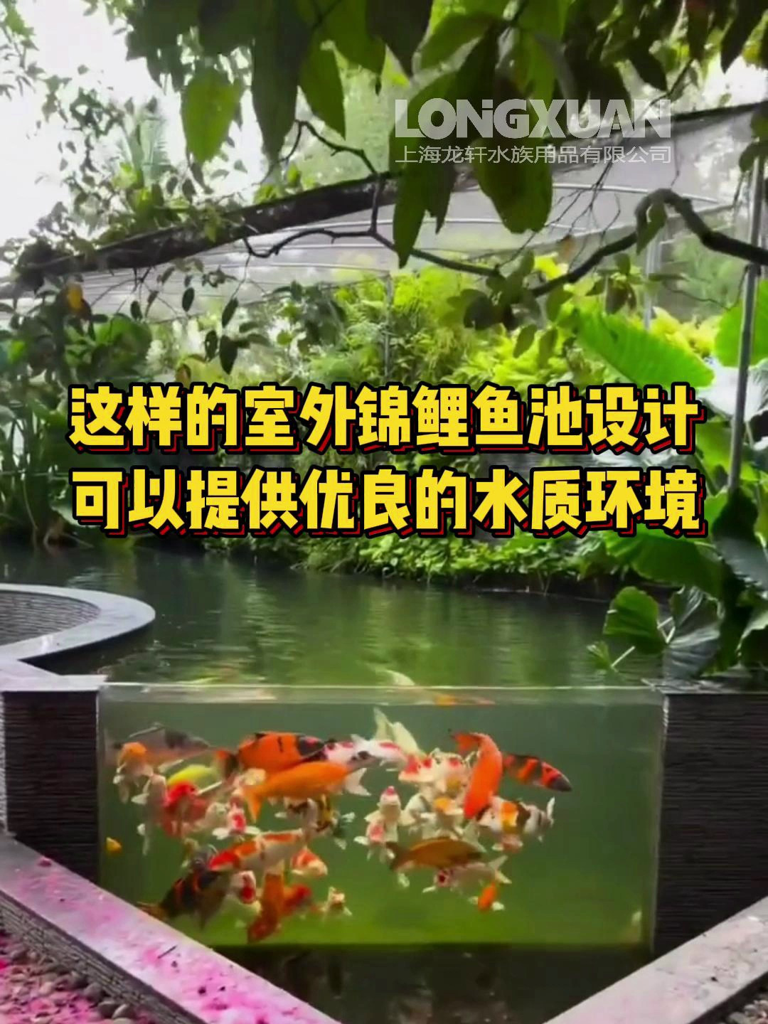 这样的室外锦鲤鱼池设计,可以提供优良的水质环境