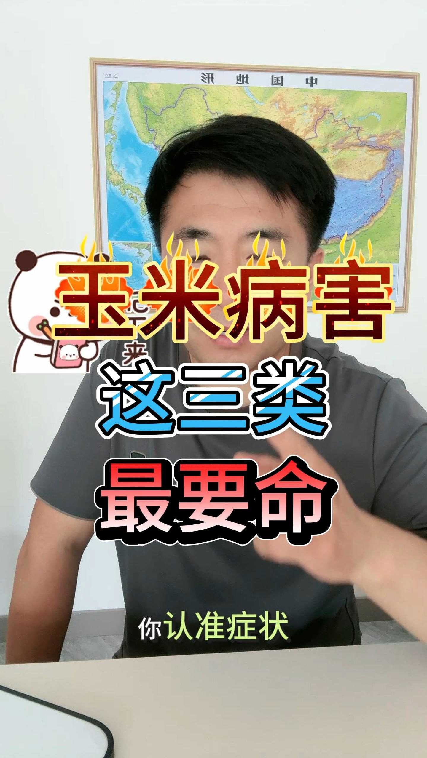 玉米病害三大类最要命