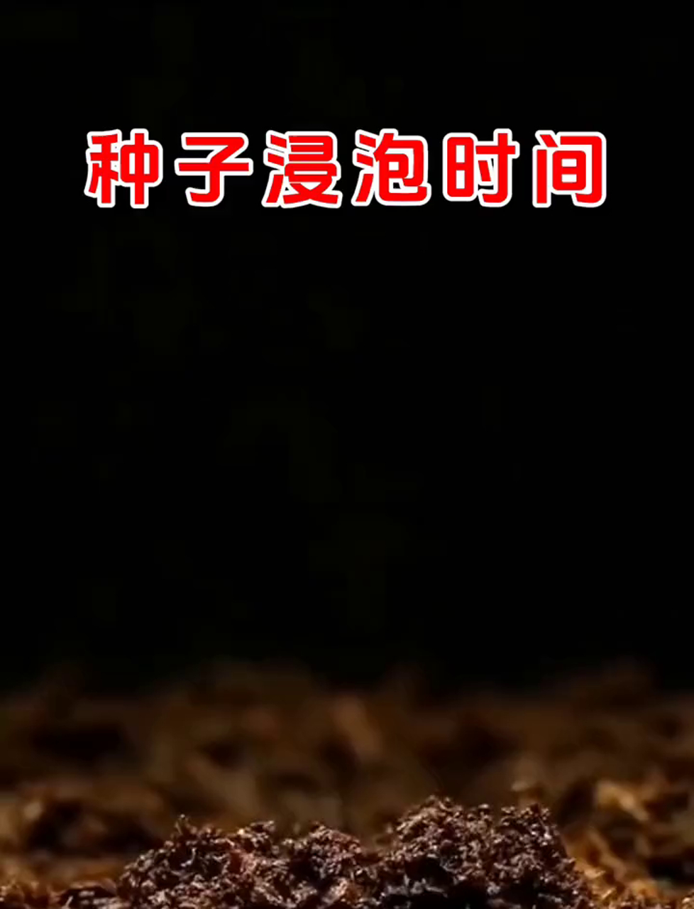 泡种子得多久才合适?