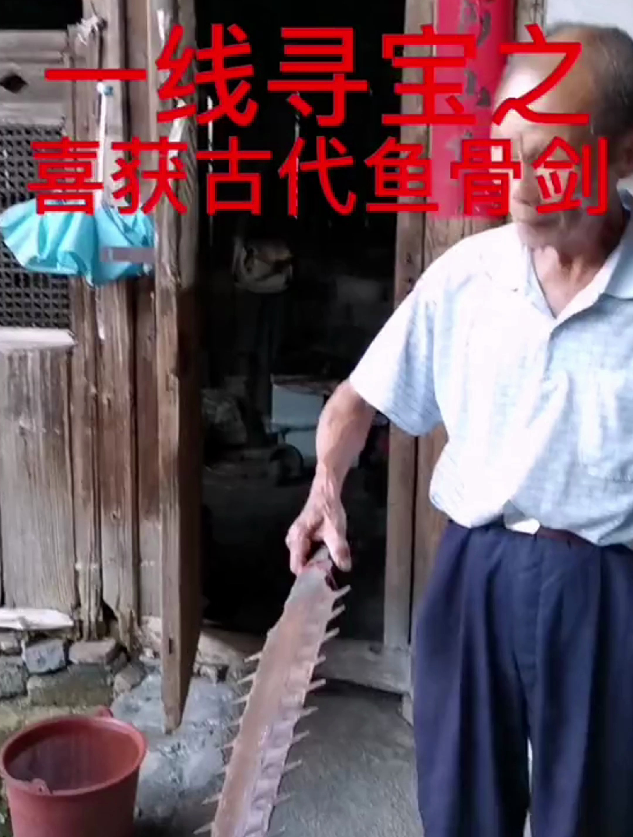 来自白垩纪,明朝皇帝御用,奇门兵器鱼骨剑,今日下乡喜得同款剑