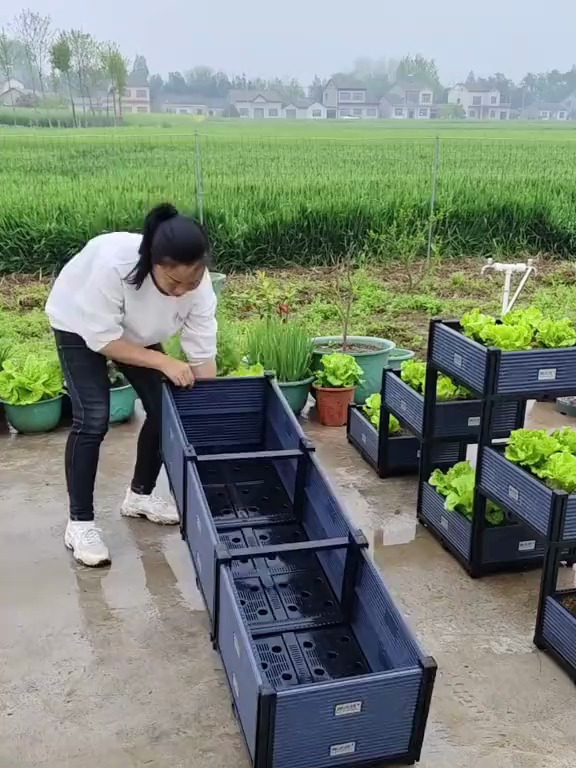 又买了个pp树酯材质的种植箱,耐高温不变形,养花种菜都方便